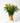 Diario vase